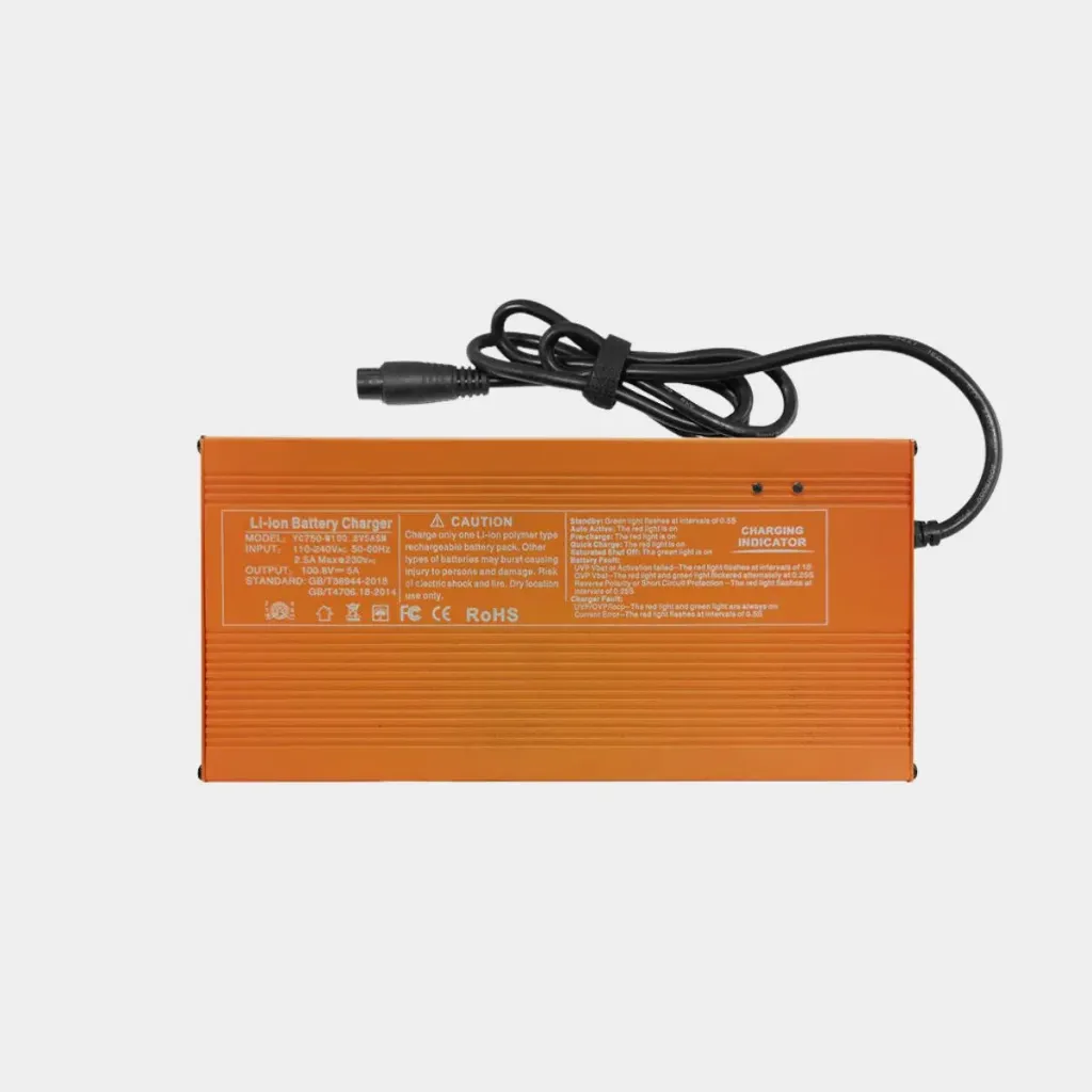 KingSong Charger for S19