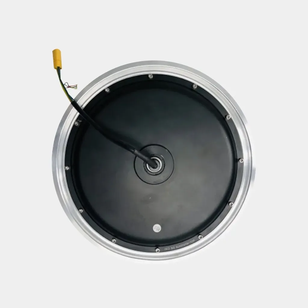 InMotion V10F Motor